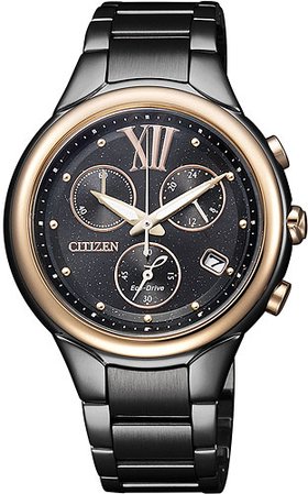 Citizen FB1317-53E