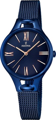 Festina F16953/2