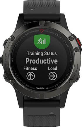 Garmin Fenix 5 Slate Gray / Black Band