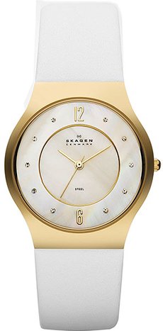 Skagen SKW2027