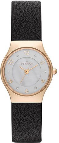 Skagen SKW2209