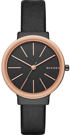 Skagen SKW2480