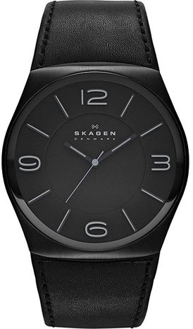 Skagen SKW6043