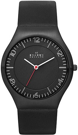 Skagen SKW6113