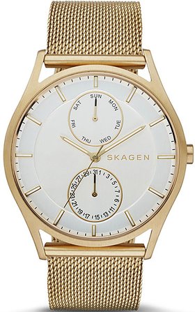 Skagen SKW6173