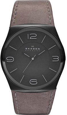 Skagen SKW6041